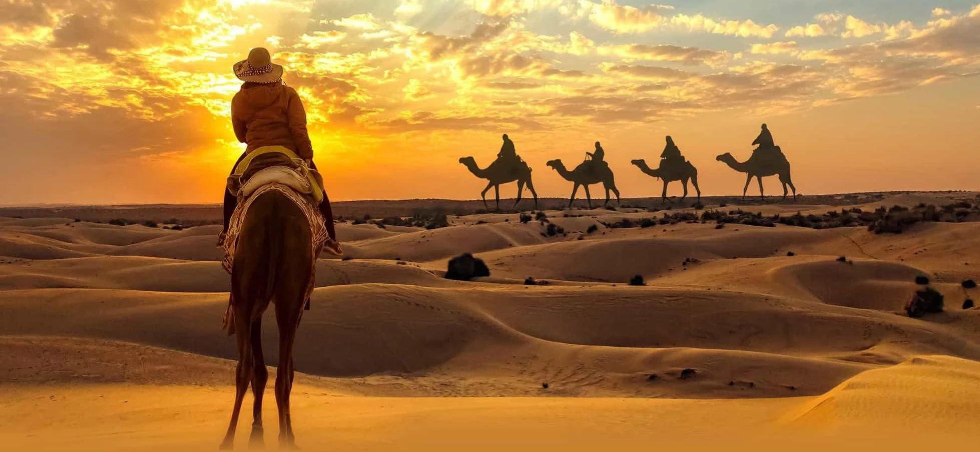 Desert Safari