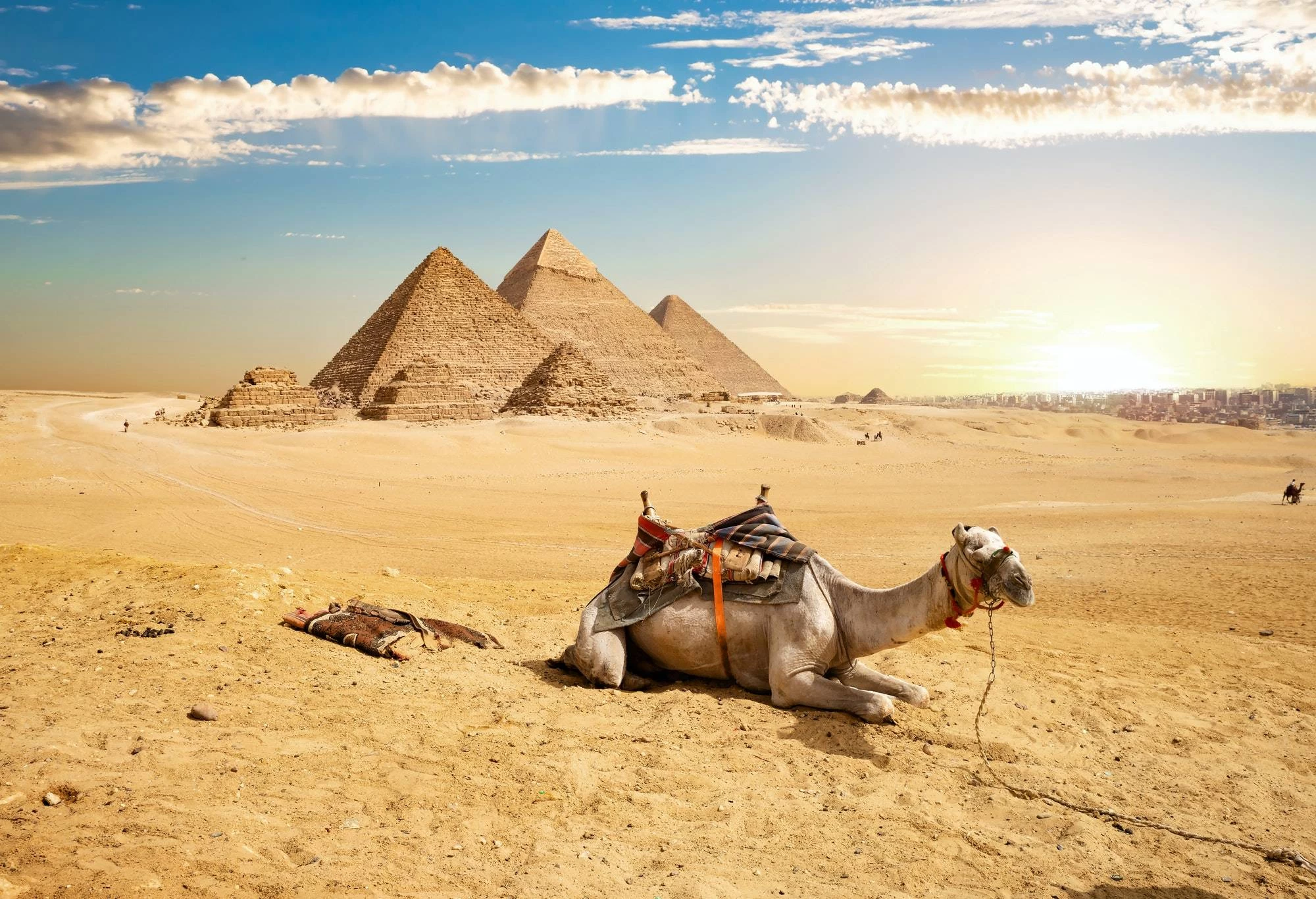 Half-Day Pyramids Tour with Camel Ride