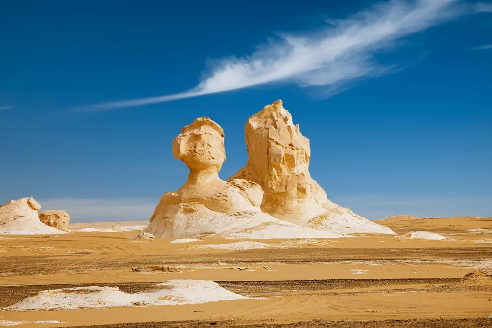 Oasis in Egypt5647
