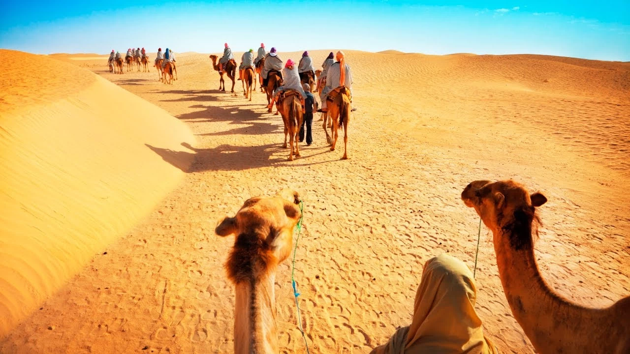 Desert Safari