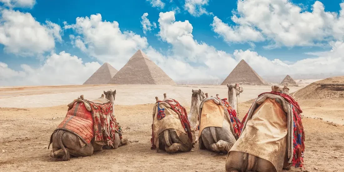 Giza Day Tours